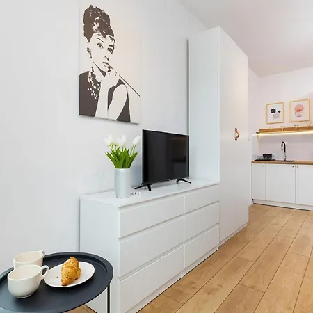 Vincent's Cozy By Renters *